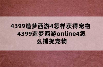 4399造梦西游4怎样获得宠物 4399造梦西游online4怎么捕捉宠物